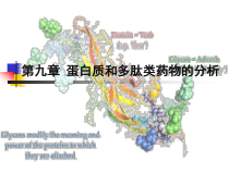 蛋白质类药物分析报告课件