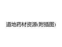 道地药材资源附插图课件