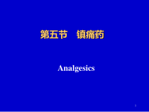 第2章中枢神经镇痛药课件