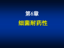 第06章-细菌耐药性课件