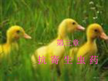 第三章抗寄生虫药物课件