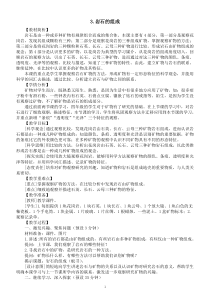 小学科学教科版四年级下册第三单元第3课《岩石的组成》教案（2023春新课标版）