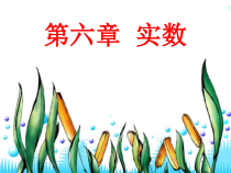 《11.1 平方根》PPT课件2-八年级上册数学北京版