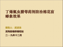 丁烯氟虫腈等药剂防治棉盲蝽象效果课件
