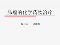 肺癌化学药物治疗概论课件
