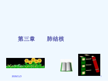 肺结核中药偏方课件