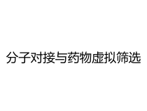 分子对接与药物虚拟筛选课件