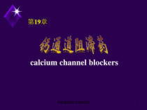 钙通道阻滞药-抗高血压药课件