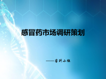 感冒药市场调研策划课件