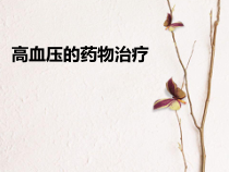 高血压药物治疗2课件