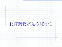 化疗药物常见心脏毒性培训课件