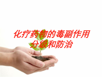 化疗药物的毒副作用分级和防治培训课件