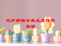 化疗药物分类及其作用原理培训课件