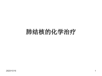 化学疗法及药物不良反应教学课件