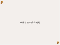 化学治疗药物概论实用版课件