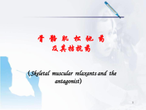 肌松药医学课件