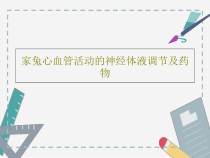 家兔心血管活动的神经体液调节及药物28张课件
