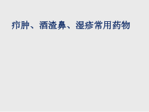 疖肿湿疹的常用药物课件