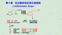 抗过敏药和抗消化溃疡药课件