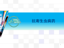 抗寄生虫病药课件