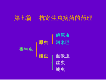 抗寄生虫病药的药理课件