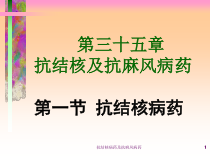 抗结核病药及抗麻风病药课件