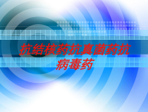 抗结核药抗真菌药抗病毒药培训课件