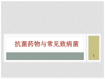 抗菌药物分类及细菌耐药机制课件