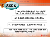 抗神精分裂症抗惊厥药物作用研究课件