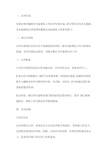 企业安全生产标准化自评流程