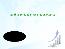化学原料药工艺研发和工艺验证课件