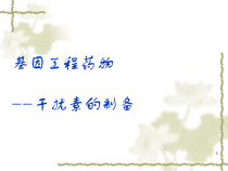 基因工程药物之干扰素的制备流程课件-37张