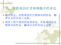 基因工程药物指南课件