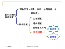 疾病对临床用药的影响培训课件