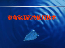 家禽常用药物使用技术-课件