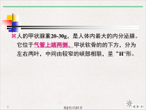 甲状腺激素及抗甲状腺药标准课件