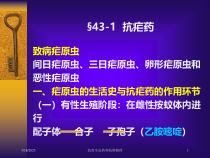 抗寄生虫药和抗肿瘤药培训课件