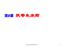抗寄生虫药护理专科课件
