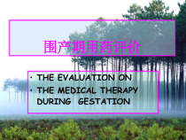 妊娠期合理用药99696课件