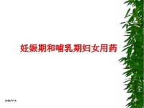 妊娠期和哺乳期妇女用药精课件