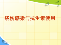 烧伤感染与抗生素使用课件