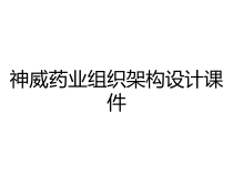 神威药业组织架构设计课件