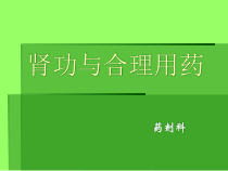 肾功不全与合理用药课件