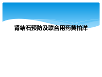 肾结石预防及联合用药课件
