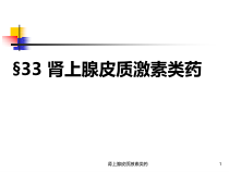 肾上腺皮质激素类药课件