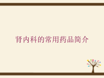 肾内科的常用药品简介培训课件