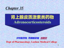 肾上腺皮质激素类药物教学课件