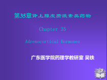 肾上腺皮质激素类药物教学课件_2