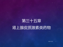 肾上腺皮质激素类药物教学课件