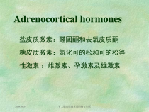 肾上腺皮质激素类药物专业版培训课件